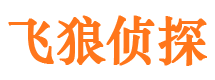 乾县市调查公司